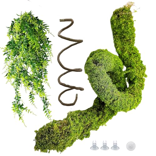 Reptile Plants (3Pcs | Style: 43in Rainforest Vines)