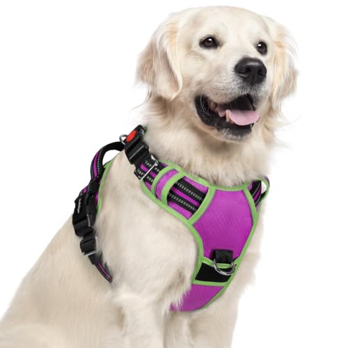 Dog Harness for Large (Purple & Light Green / X-Large)