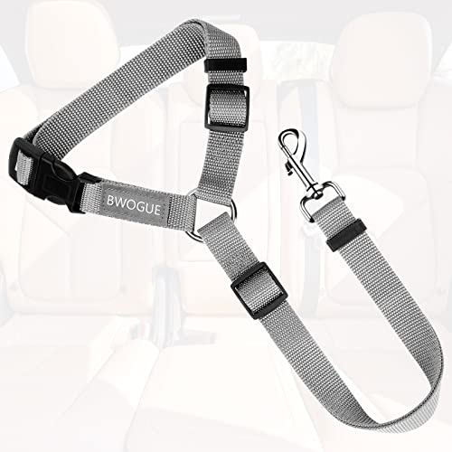 Dog Seat Belt for Car (Grey)