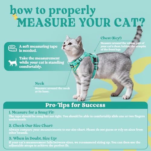 Cat Harness and Leash Set (Xs / Lemon Grove)