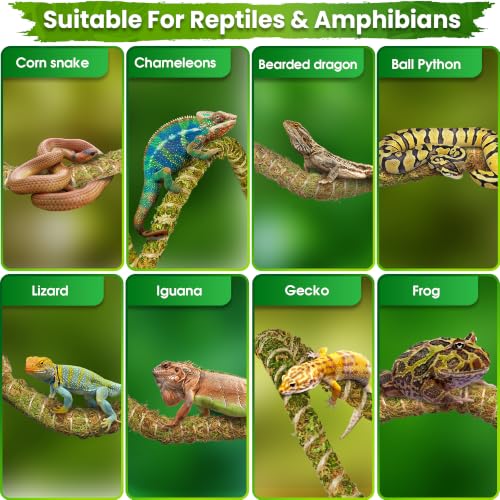 10FT Reptile Vines for Climbing (Green Reptile Vine - 10 Feet)
