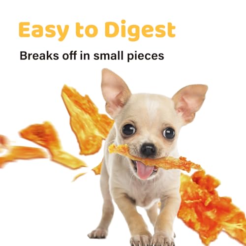 Turkey Tendon for Dogs
