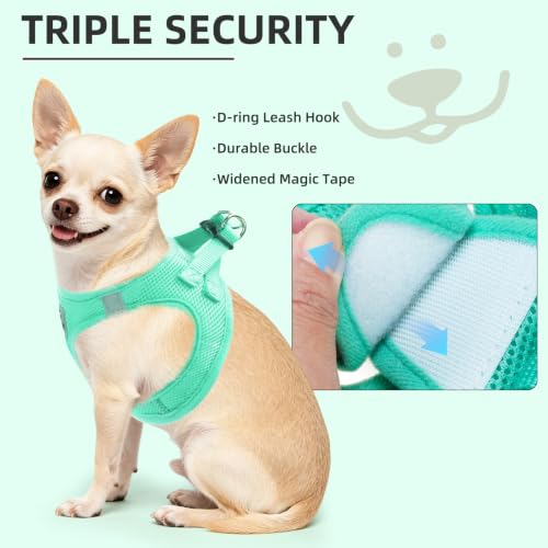 Dog Harness Collar and Leash Set No Pull for Small Medium Sized (Solid Green / S (CHEST 14.5"-16"))
