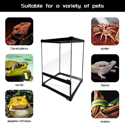 Reptile Glass Terrarium Tank 10 * 10 * 14in (10x10x14 inch)