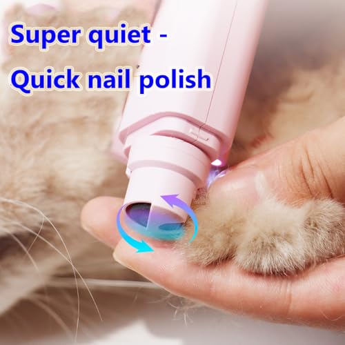 Super Handy Latest Model