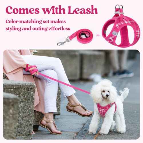 Dog Harness Small Sized and Leash Set (Rose Red Plaid / Xxs (chest: 12.4 - 14.2"))