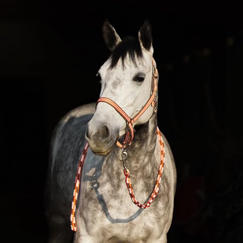 Adepto Adjustable Horse Halter (Coral Gold / Horse)