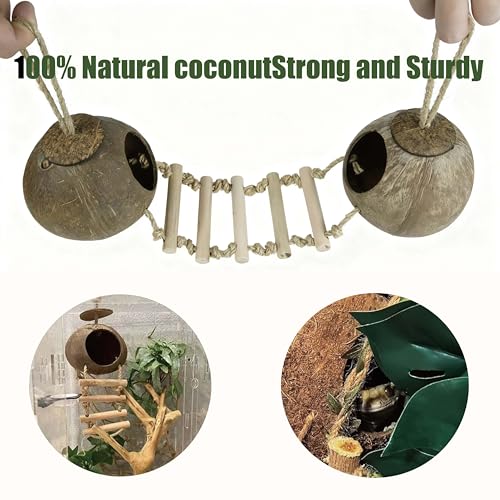 10PCS Crested Gecko Tank Accessories Set (Large with Double Coconut Shell)