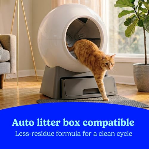 Advanced Ever Fresh Unscented Clumping Cat Litter (Advanced Outstretch - Simply Unscented / 32 lb)