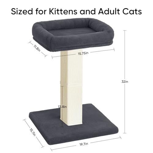 Cat Scratching Post with Plush Perch for Indoor Cats (Dark Grey)