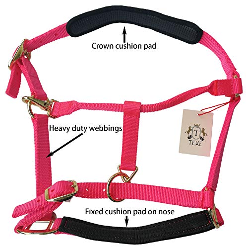 Adjustable Horse Halters by Heavy Duty Soft Nylon (Green / Cob (M))