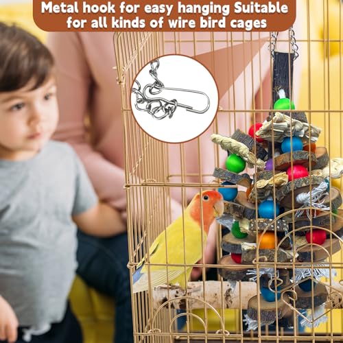 Bird Toys Parrot Toys (E: Fruit Wood)