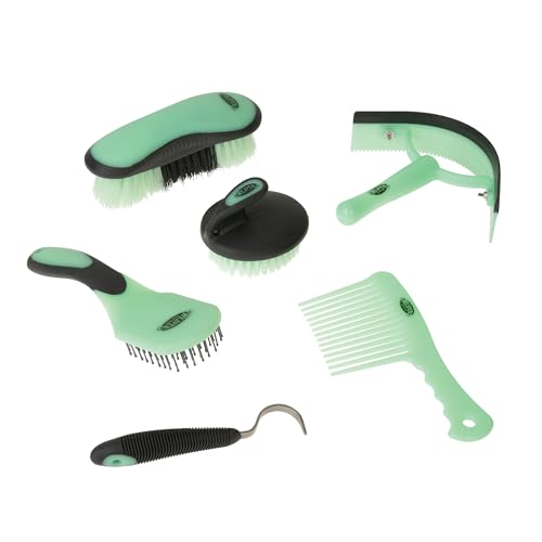 6 Piece Horse Grooming Kit (Mint/Gray)