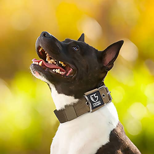 Heavy Duty Thick Dog Collar with Metal Buckle for Small Dogs (S – Fits Neck 12.6"-15.8" / Basic Khaki)