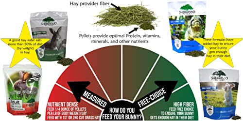 Adult Rabbit Food Timothy Hay Free (10 Pound (Pack of 1))