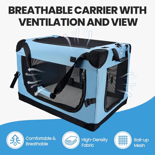 Extra Large Cat Carrier (Teal)