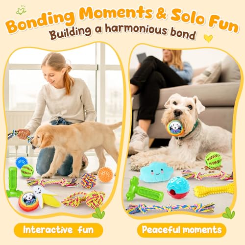25 Pack Various Dog (Colorful)