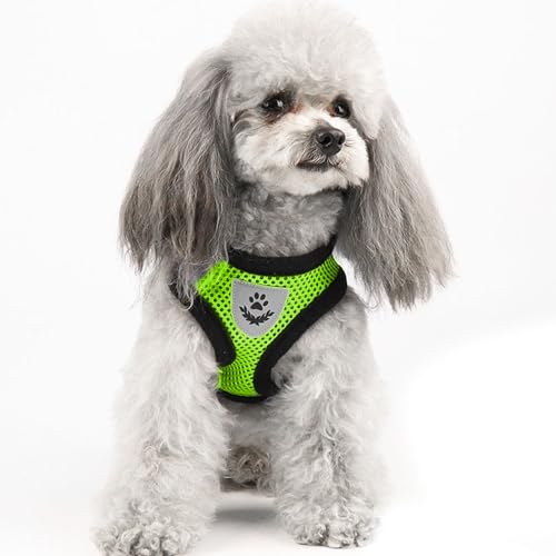 Green Cat Harness and Leash Set (green / XL：(Neck:14.56" chest:18.11"-24.01"))