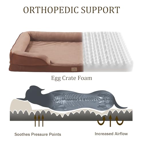 Orthopedic Dog Bed Extra Small (20.0"L x 15.0"W x 6.0"Th / Brown)