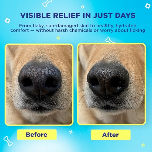 SnoutScreen Dog Sunscreen Balm for Nose & Paws (1 Ounce (Pack of 1))