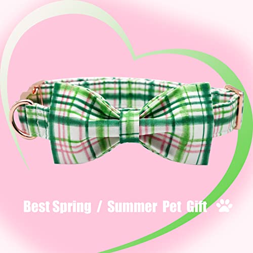 Dog Collar with Bow (Pink&Green / Small (Pack of 1))