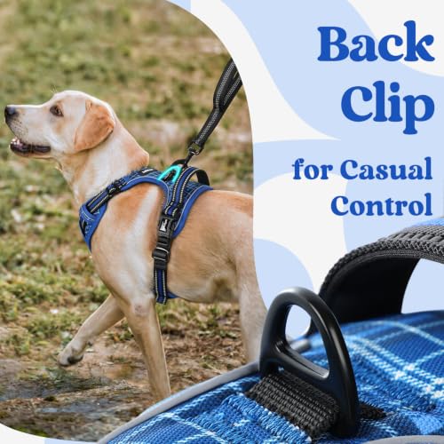 Dog Harness Medium Sized