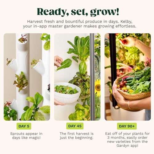 Studio 2 Hydroponics Growing System (GARDYN STUDIO 2)