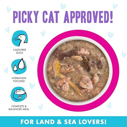 B.F.F. OMG Best Feline Friend Oh My Gravy! (2.8 Ounce (Pack of 12))