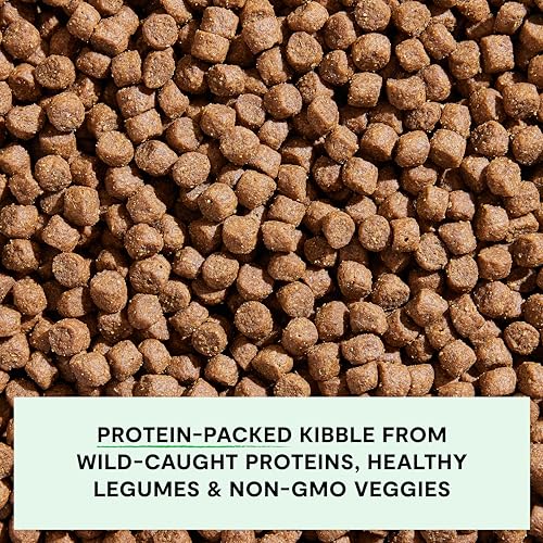 Grain Free Dry Dog Food (22 Pound (Pack of 1))