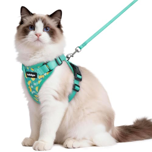 Cat Harness and Leash Set (M / Lemon Grove)