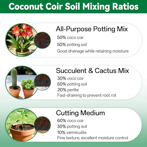 10 Pcs Coco Coir Brick for Plants (10pcs)