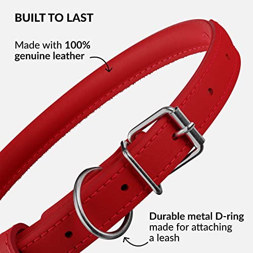 Tangle Free Rolled Leather Dog Collar (Red / XXL)