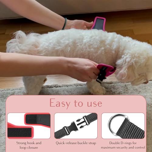 Comfort Fit No Pull Dog Harness (XXS (Chest 11.5"-13") / Red)