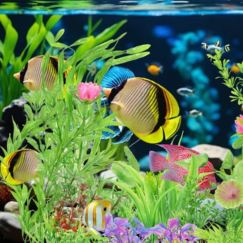 30Pcs Aquarium Plants