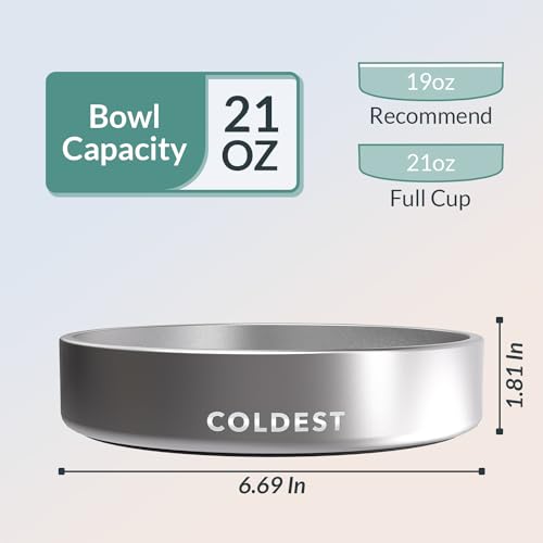 Coldest Dog Bowl (21 oz / Polished Stainless Steel)