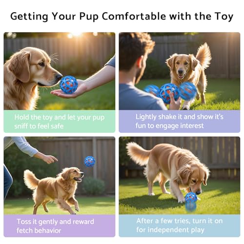 Interactive Dog Toys (Orange)
