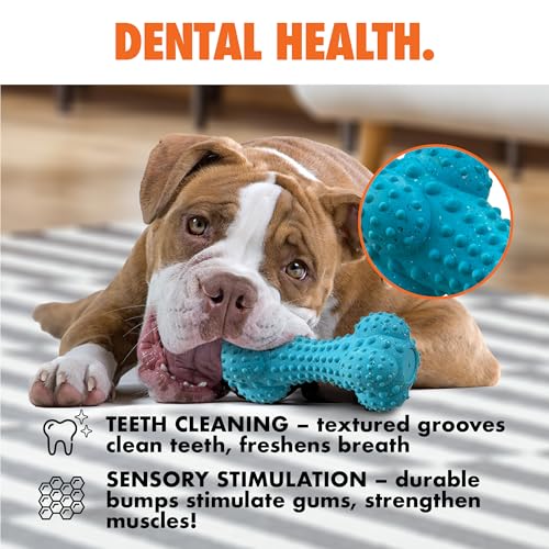 Arlee Rubber Bone Dog Toy for All Dogs