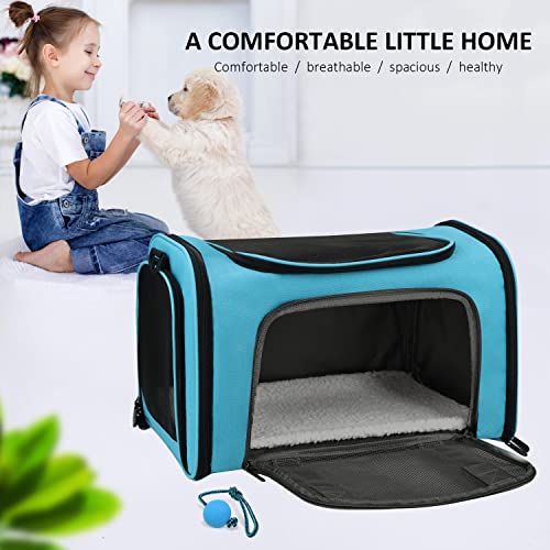 Pet Carrier for Small Medium Cats Puppies up to 15 Lbs (17.0"L x 11.0"W x 11.0"H / Blue)