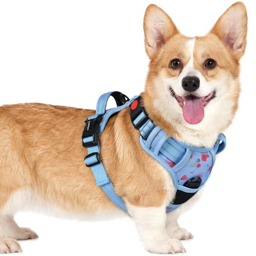 Dog Harness Small Sized (Floral Blue / Small)