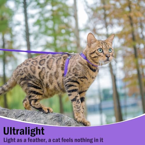 Adjustable Cat Harness and Leash Set Escape Proof Kitten Strap Collar for Walking Travel (Medium / Purple)