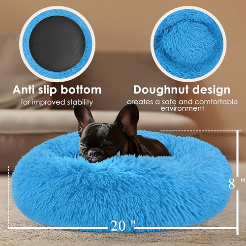 Dog & Cat Bed (Light Blue / 20.0"L x 20.0"W x 8.0"Th)