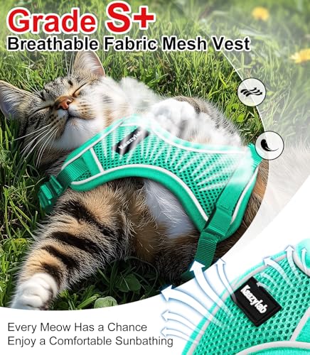Cat Harness and Leash for Walking Escape Proof Soft Adjustable Cat Leash (Emerald / M (13-18lb))