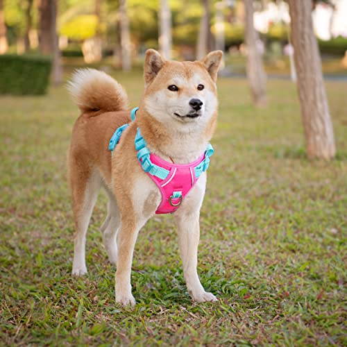 No Pull Dog Harness (Pink Base & Green Straps / Extra Small)