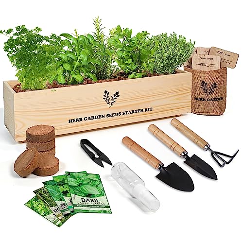 5 Herb Seeds Garden Starter Kit with Complete Planting Kit & Wooden Flower Box