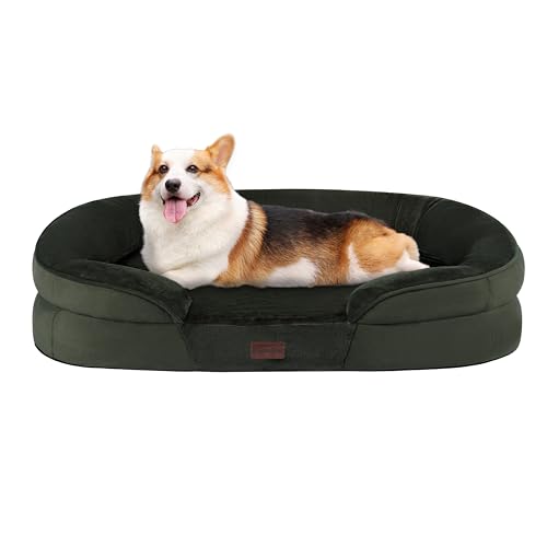 Orthopedic Waterproof Medium Dog Bed Sofa (Green / Medium(36 x 25.5 x 6 inch))