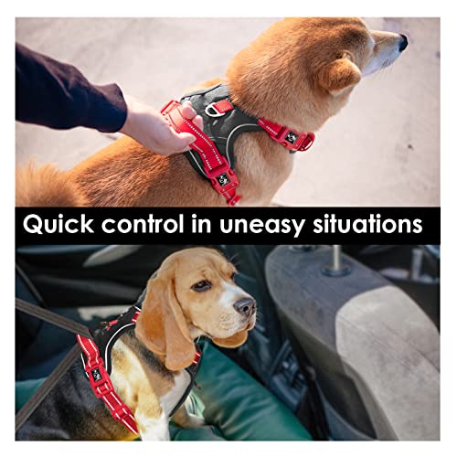 No Pull Dog Harness (Black Base & Red Straps / Small)