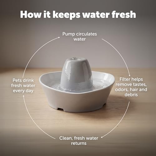 Creekside Ceramic Pet Fountain (Fountain + 12 Carbon Filters + 2 Foam Filters)