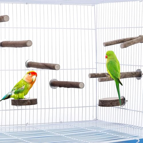 10 PCS Natural Parrot Perch Bird Cage Accessories
