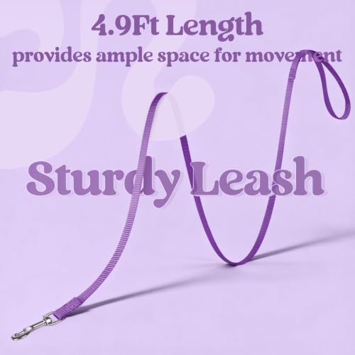 Cat Harness and Leash Set (L / Purple)
