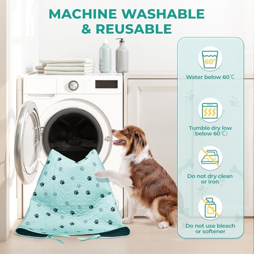 Washable Dog Pee Pads (Green / 31*36 Inch (Pack of 2))